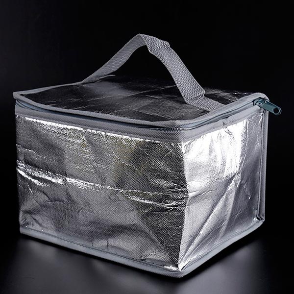 Custom travel cooler bag,non woven insulated bags for frozen food