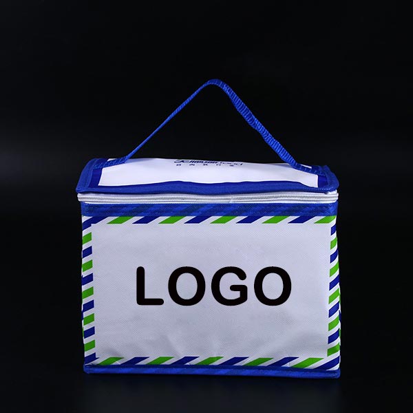 Custom promotional mini cooler bag, branded cooler bags